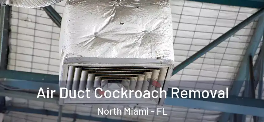  Air Duct Cockroach Removal North Miami - FL