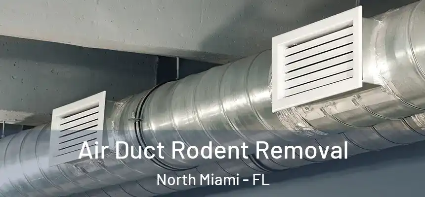  Air Duct Rodent Removal North Miami - FL