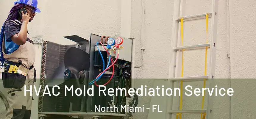  HVAC Mold Remediation Service North Miami - FL