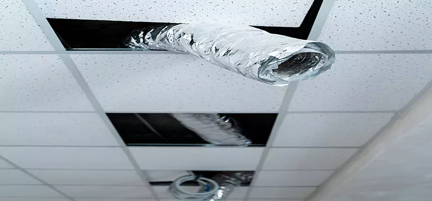 Affordable HVAC Sanitizing After Pest Removal in North Miami