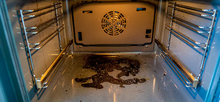 Our Dryer Vent Mold Cleaning Services in North Miami, FL