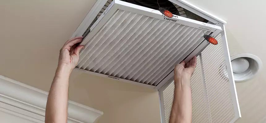 Our Insect Removal from Air Ducts Services in North Miami, FL