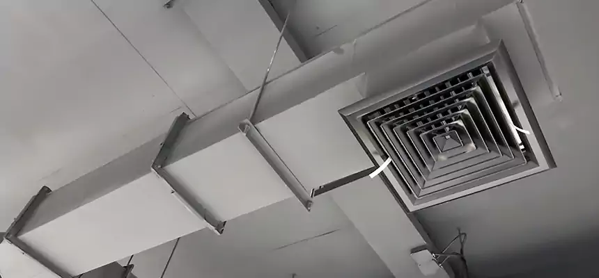 Our Rodent Droppings In Vents Services in North Miami, FL