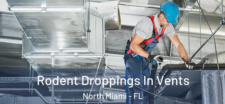 Rodent Droppings In Vents North Miami - FL