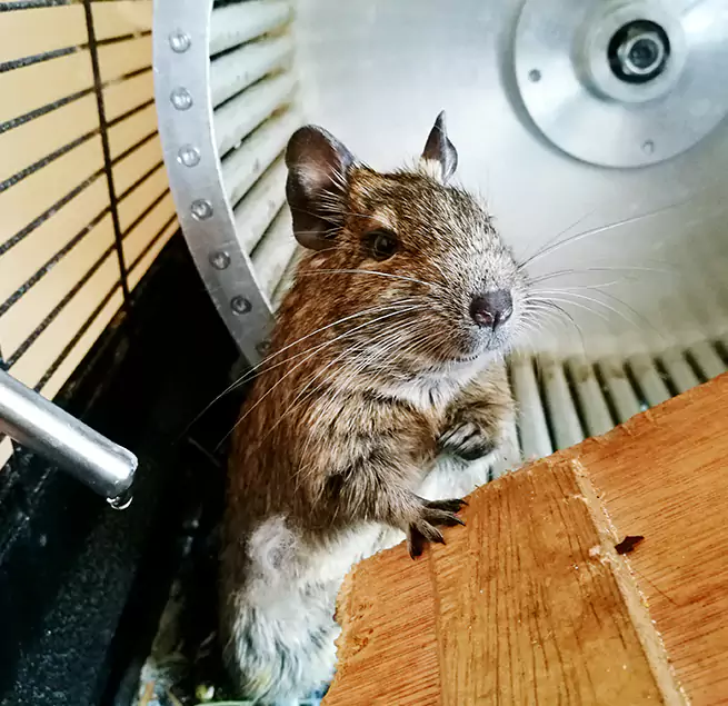 Why Homeowners & Businesses Trust Us North Miami, FL?