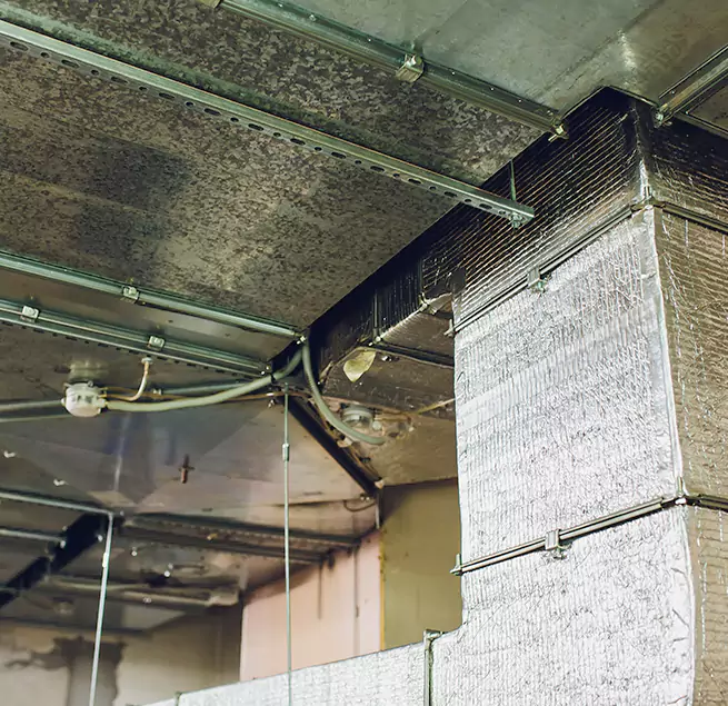 Why Homeowners & Businesses Trust Us in North Miami, FL?